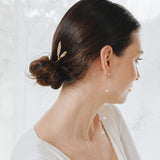 Pinza Brassia