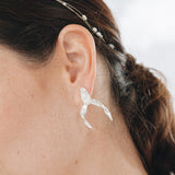 Aretes Brassia
