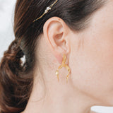 Aretes Brassia