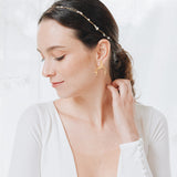 Aretes Brassia