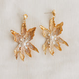 Aretes Silvestre