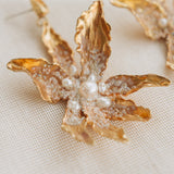 Aretes Silvestre