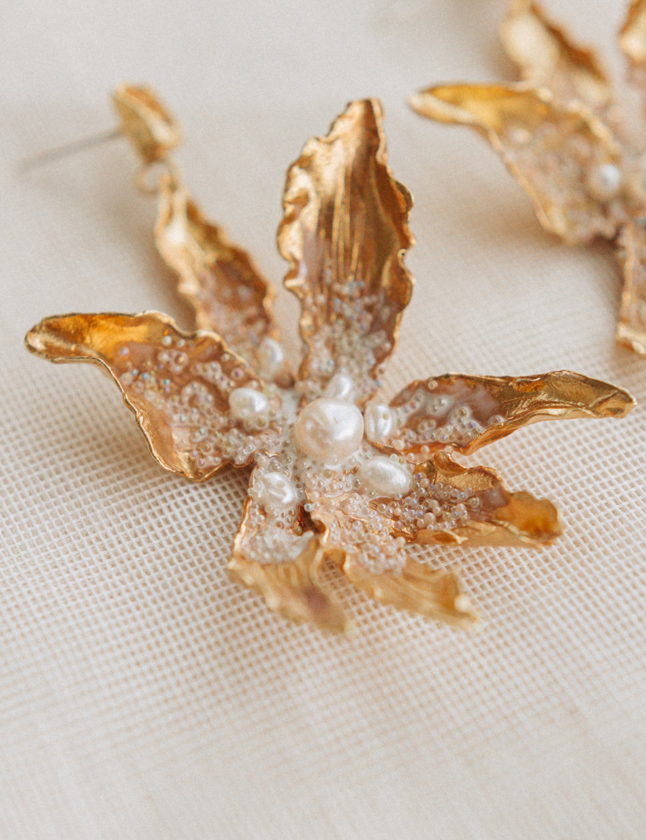 Aretes Silvestre