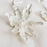 Aretes Silvestre
