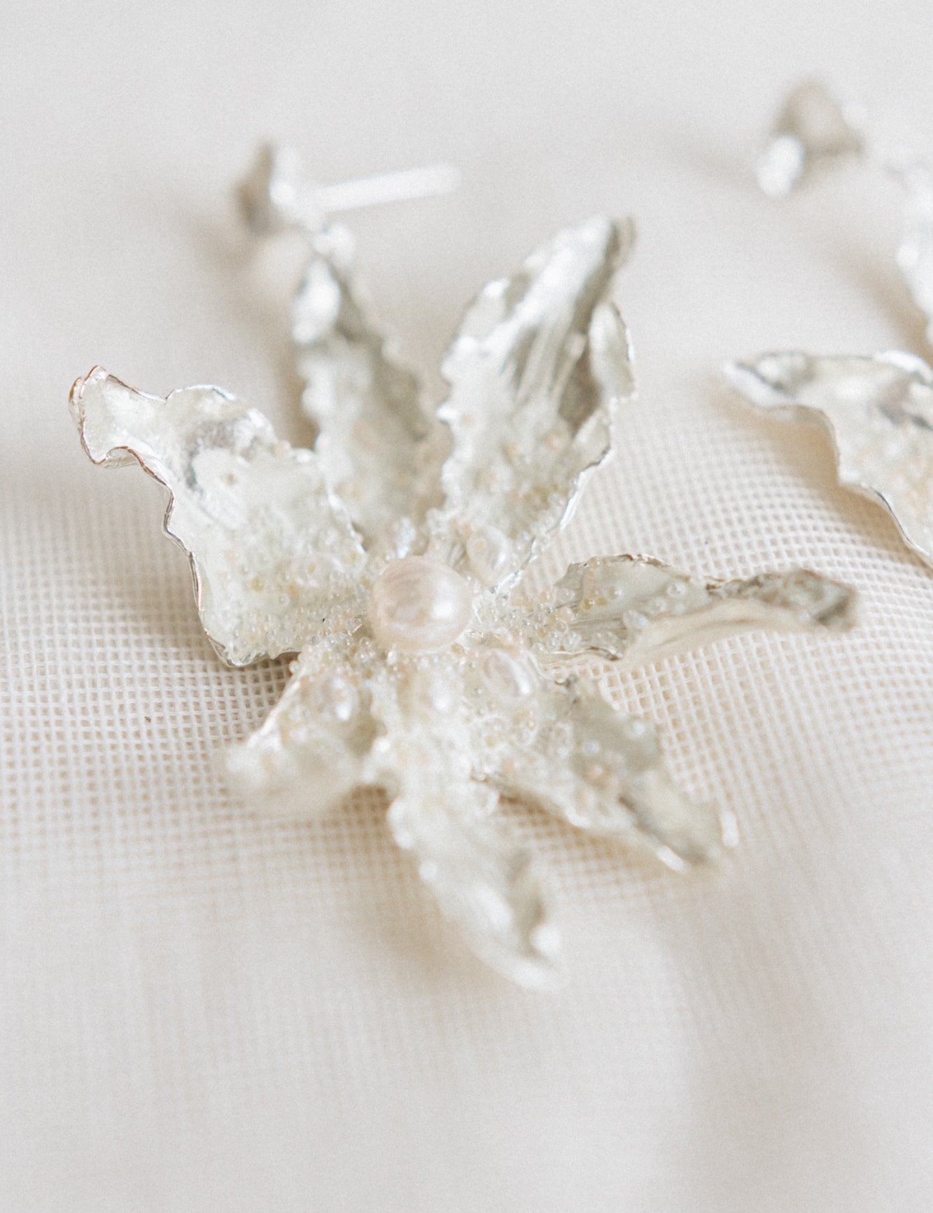 Aretes Silvestre