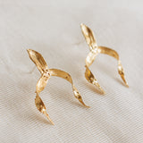 Aretes Brassia