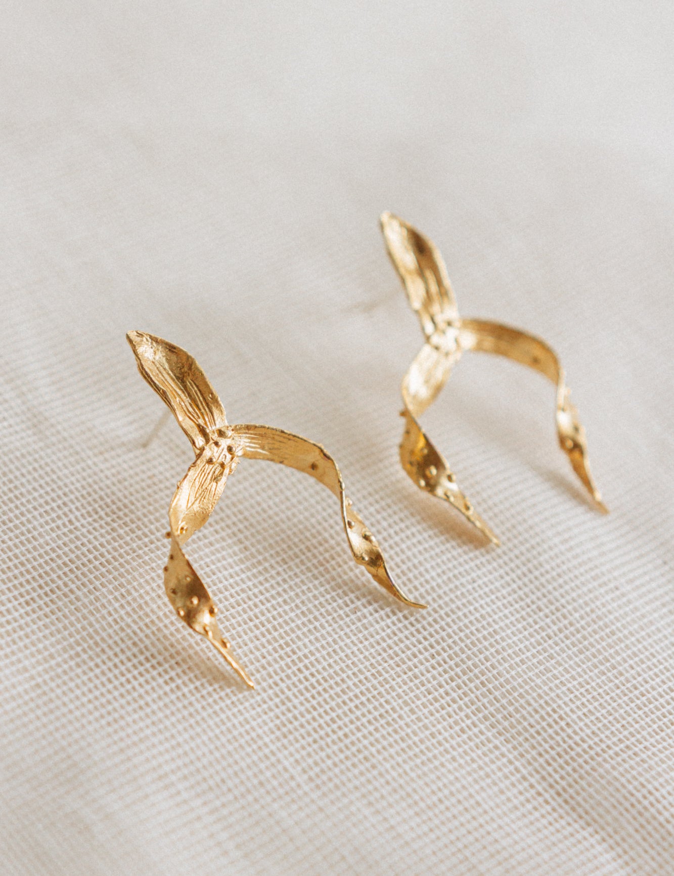 Aretes Brassia