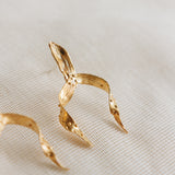 Aretes Brassia