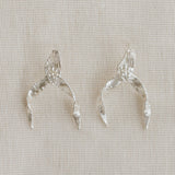 Aretes Brassia