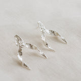 Aretes Brassia