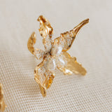 Cambria Aretes