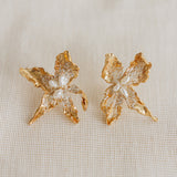 Cambria Aretes