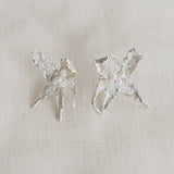 Cambria Aretes