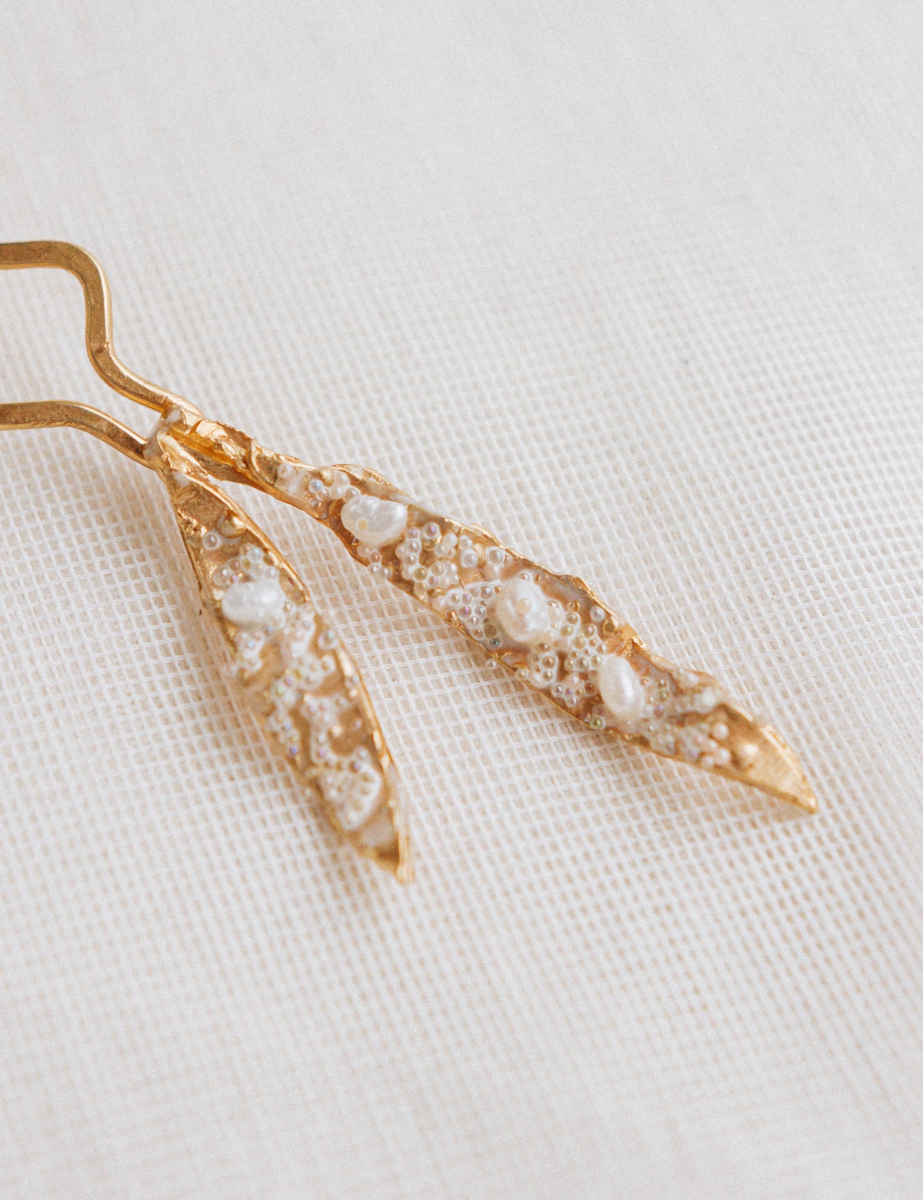 Brassia Pinza