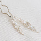 Pinza Brassia